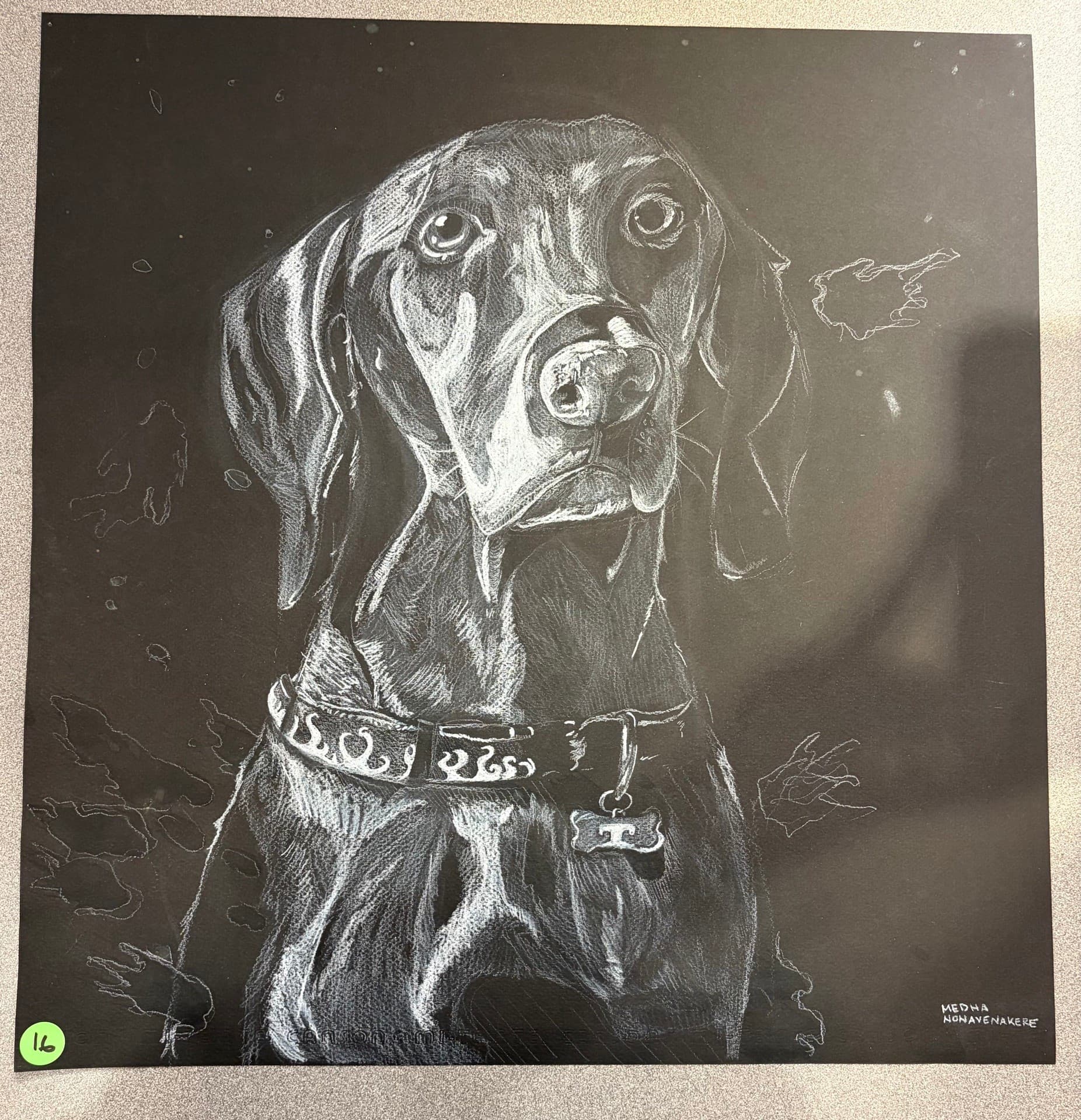 White chalk dog portrait on black background