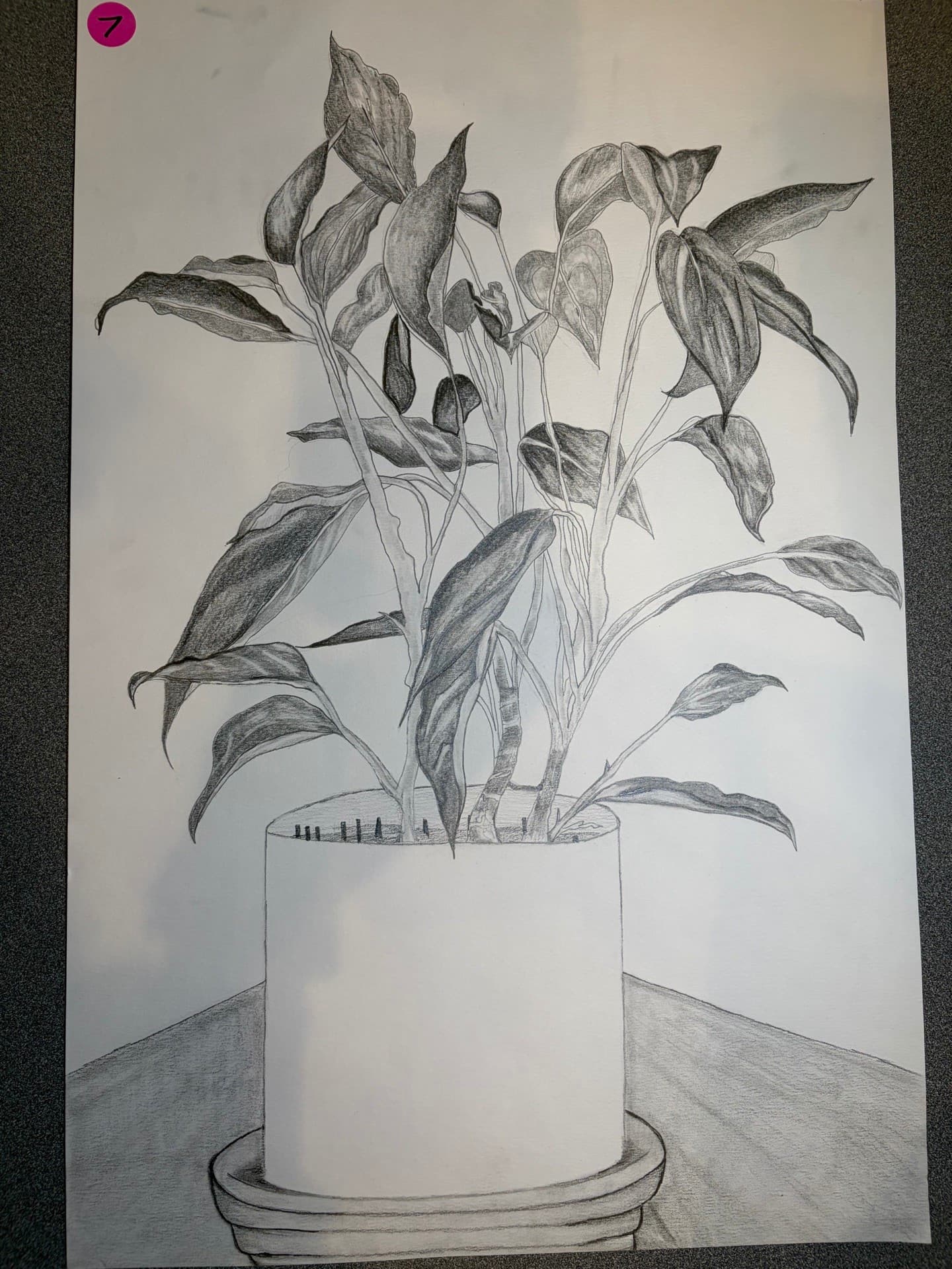 Pencil sketch of a potted plant